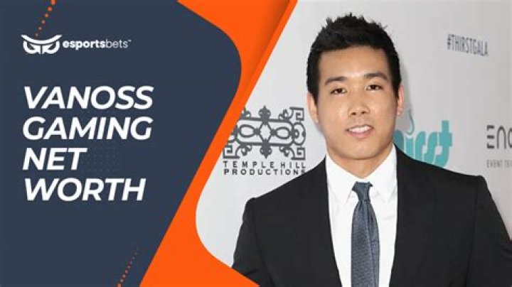 Is Vanossgaming Gay? Age, Height, Net Worth