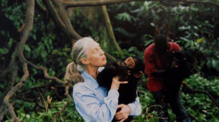 Jane Goodall - Age, Family, Bio