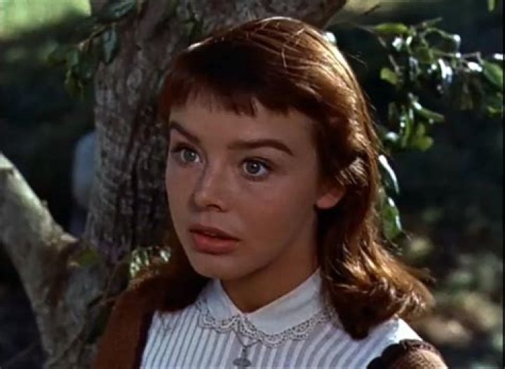 Janet Munro - Trivia, Family, Bio