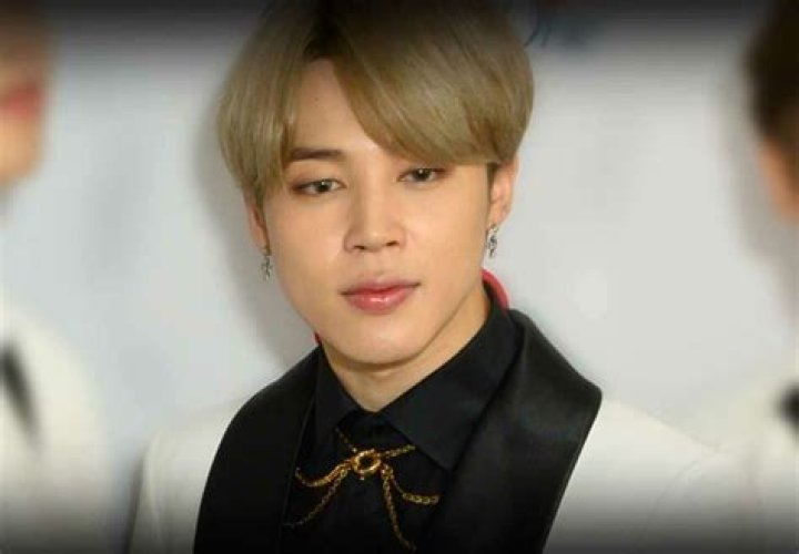 Jimin Bio (Wiki) 