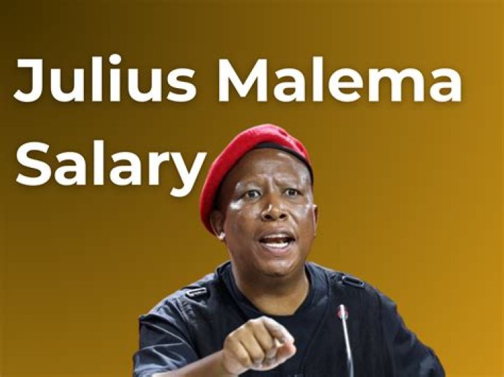 Julius Malema salary