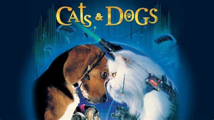 Like Cats & Dogs - Cast, Ages, Trivia