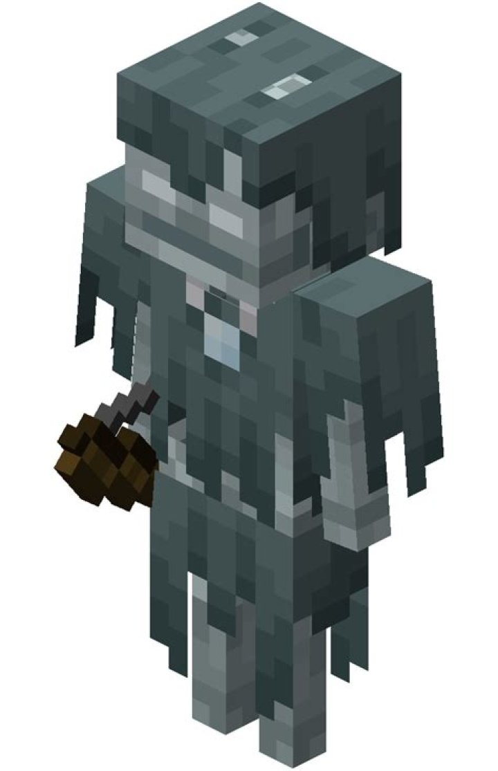 What is Minecraft Stray? 1 Minecraft Stray