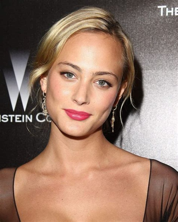 Nora Arnezeder Bio (Wiki) 