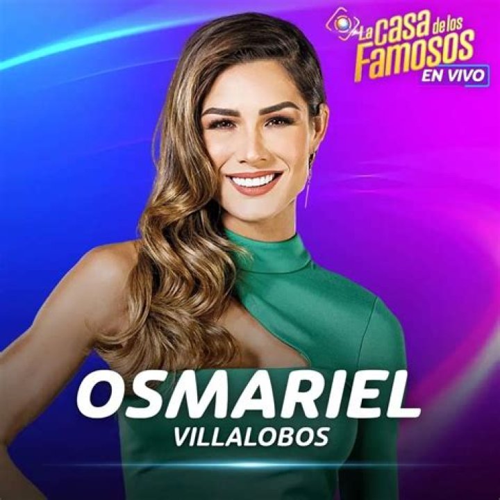 Osmariel Villalobos Bio (Wiki) 