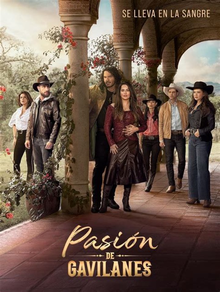 Pasión de Gavilanes - Cast, Ages, Trivia