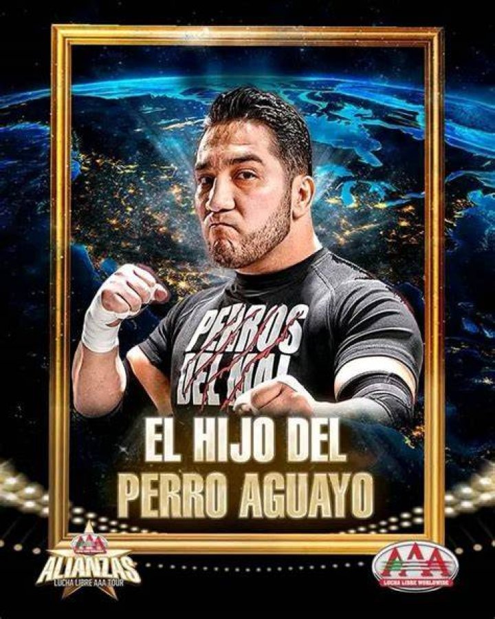 Perro Aguayo Jr. (Wrestler) - Trivia, Family, Bio