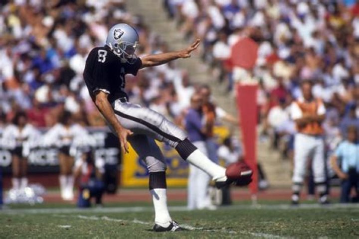 Ray Guy photo