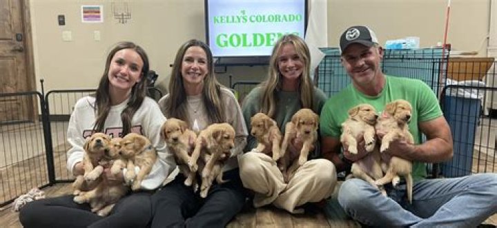 Riley the Golden Pup - Age, Family, Bio