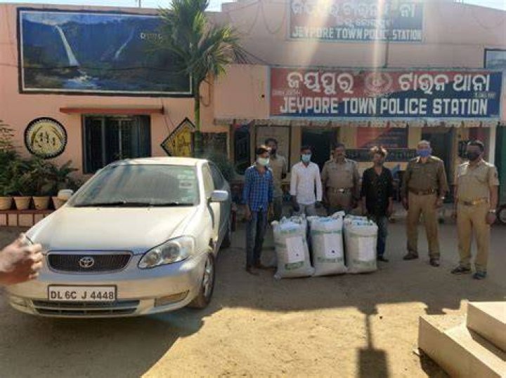
Rising ganja, brown sugar hauls in Odisha point to a thriving market 