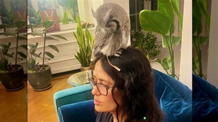 Salma Hayek has a pet owl that stays in her bedroom and flies around at night