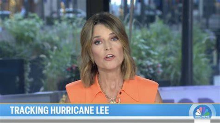 	Savannah Guthrie left the Today show early after testing positive for covid on air	