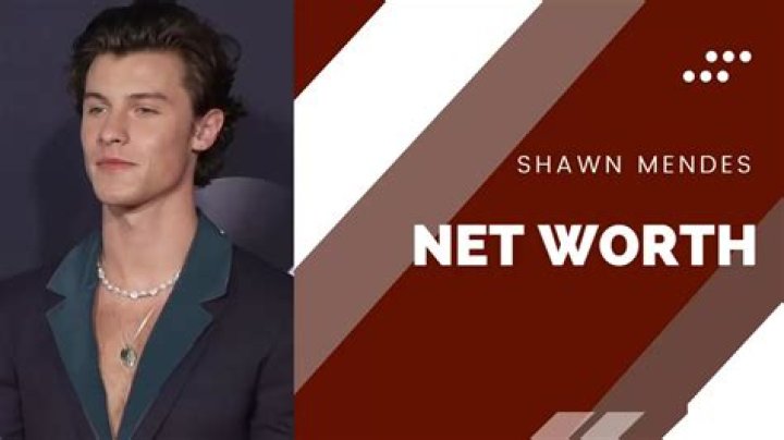 Shawn Mendes Net Worth, Age, Girlfriend, Family, Biography & More