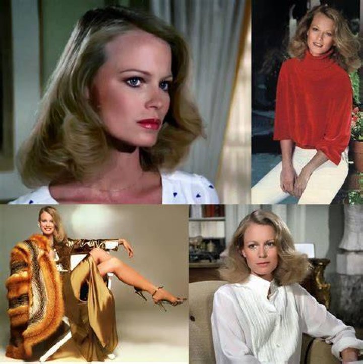 Shelley Hack - Age, Family, Bio