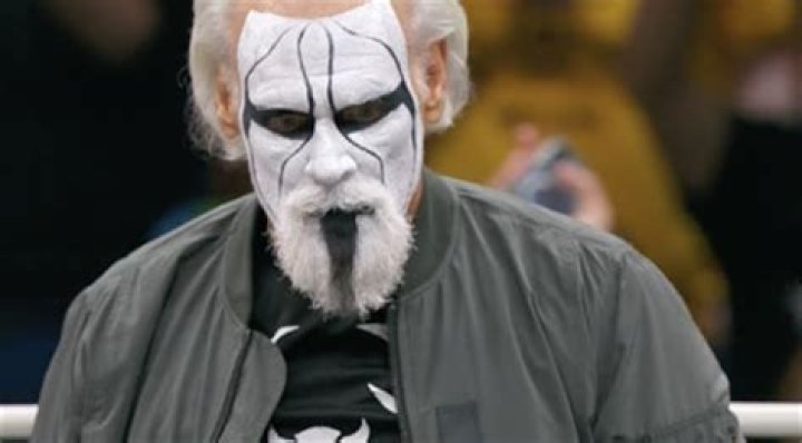 Sting Height, Weight, Net Worth, Age, Birthday, Wikipedia, Who, Nationality, Biography