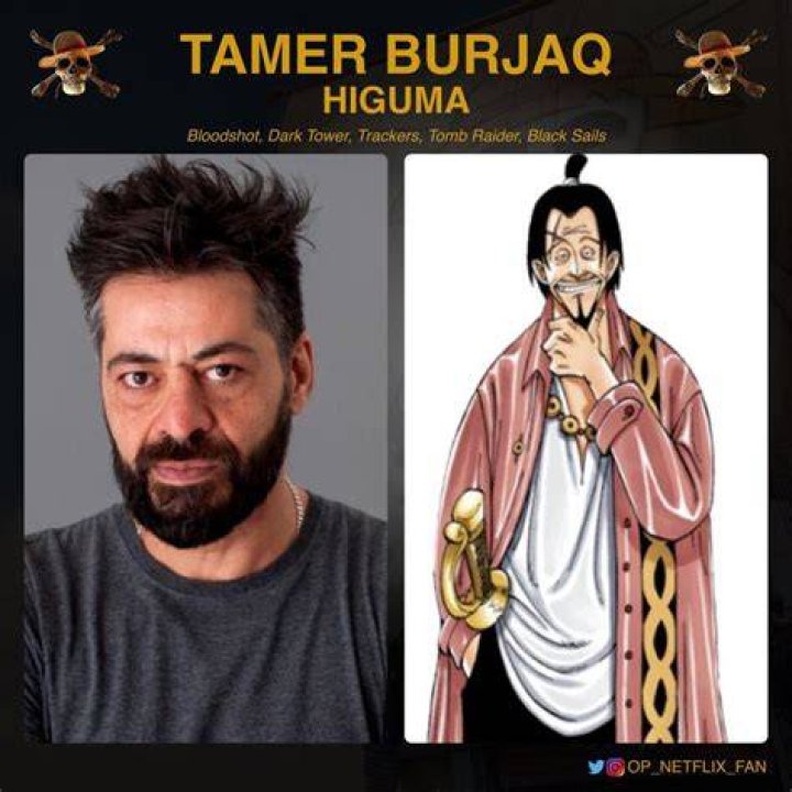 Tamer Burjaq Bio (Wiki) 