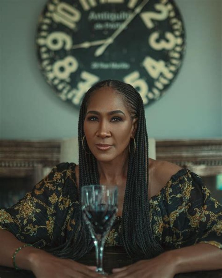 Terri J Vaughn Bio (Wiki) 