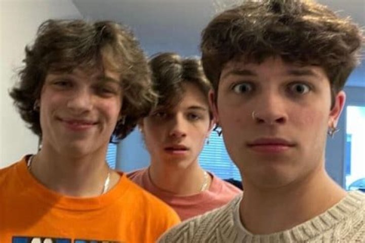 The Herberts - Members, Ages, Trivia