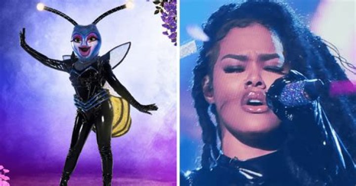 The Masked Singer Firefly Is Married to a Dancing With the Stars Champion The Masked singer Firefly