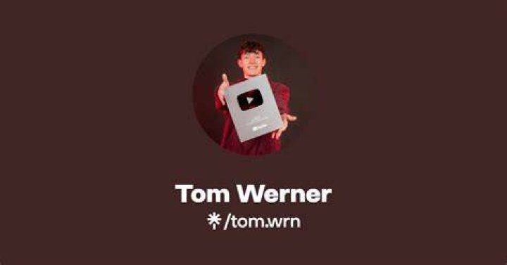 Tom Werner Bio (Wiki) 