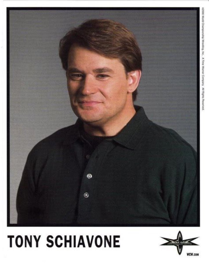 Tony Schiavone - Age, Family, Bio