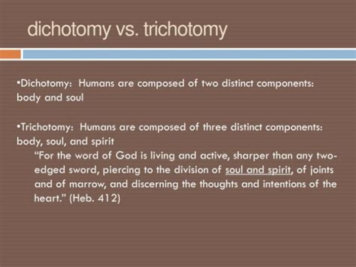 Trichotomy vs. dichotomy of man—which view is correct?