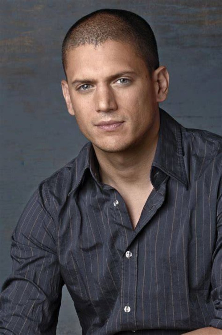 Wentworth Miller Bio (Wiki) 