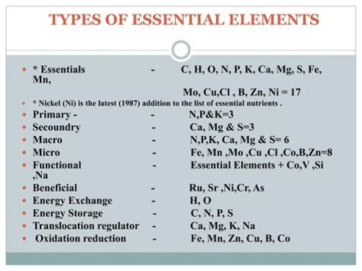 What are some of the essential elements of the skyscraper?