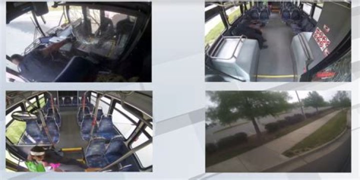 
What did David Fullard do? Incident explored as disturbing video shows driver and passenger in shootout on Charlotte bus 