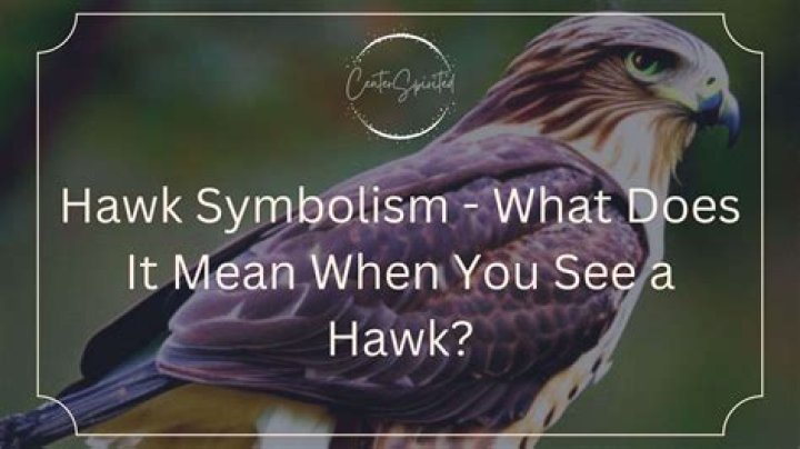 What does it mean when I see a hawk?