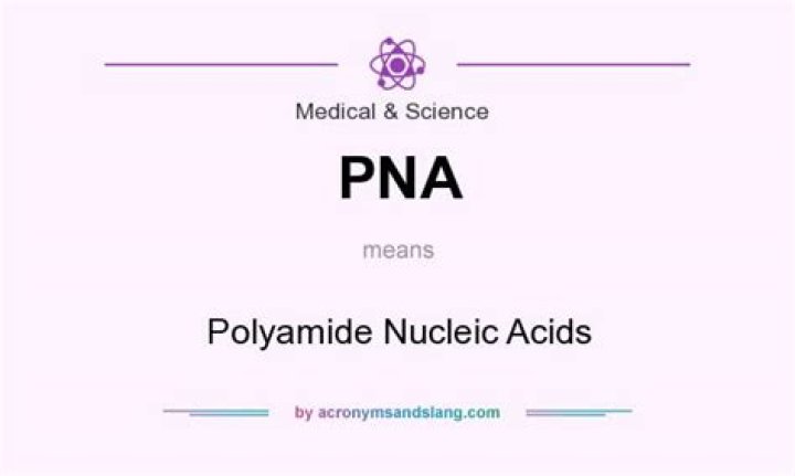 What does the medical abbreviation PNA stand for?