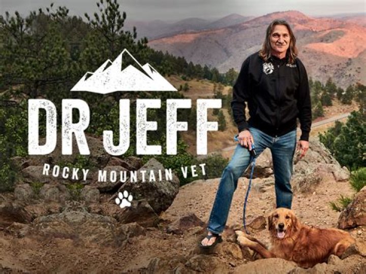 What Happened To Hector On Dr. Jeff Rocky Mountain Vet and Where Is He Today?