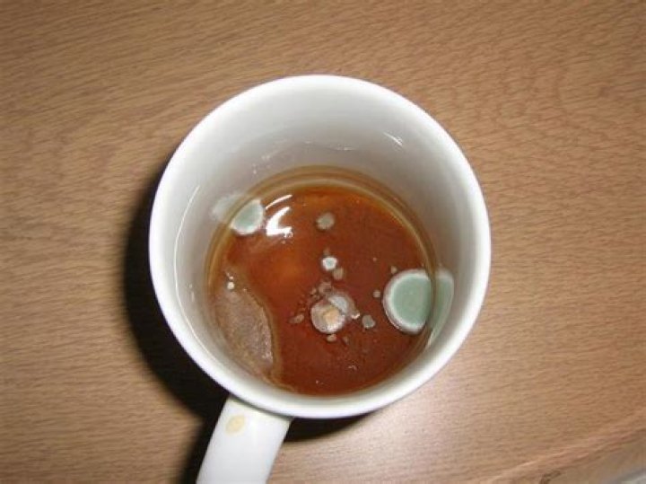 What happens if you drink moldy tea?