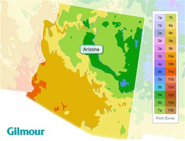 What hardiness zone is Phoenix Arizona?