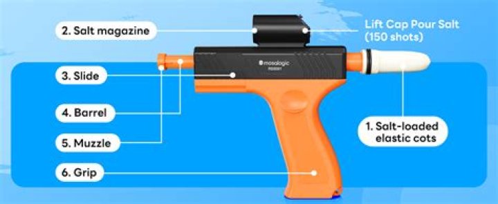 What is a bug gun?