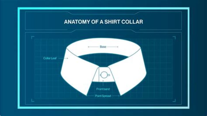 What is a Porcelet collar?