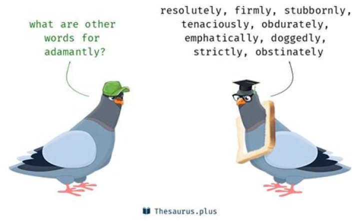What is a synonym for adamantly?