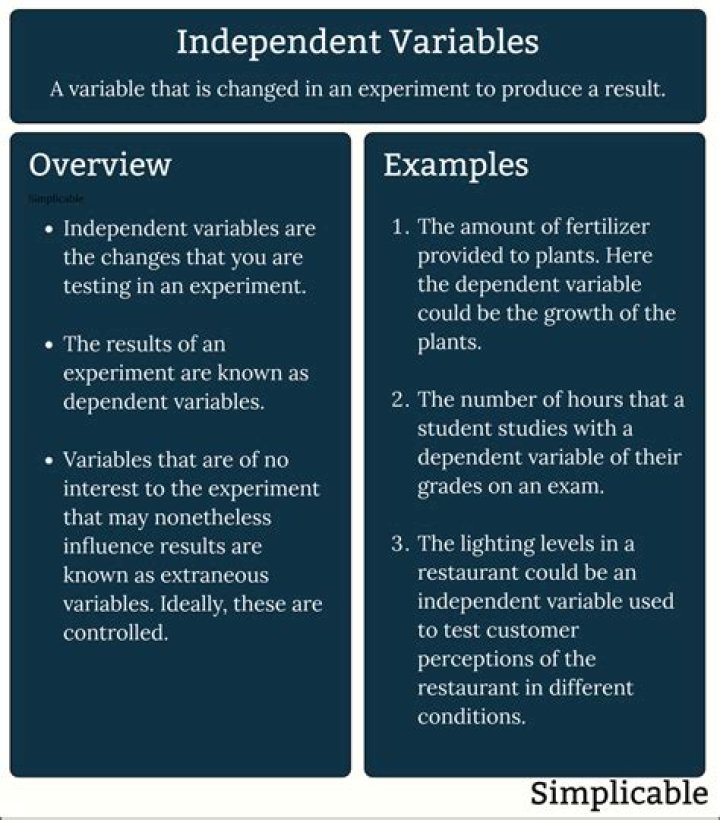 What is an independent variable quizlet?