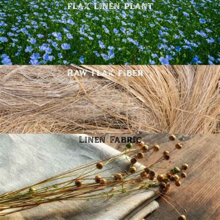 What is Belgian flax linen?