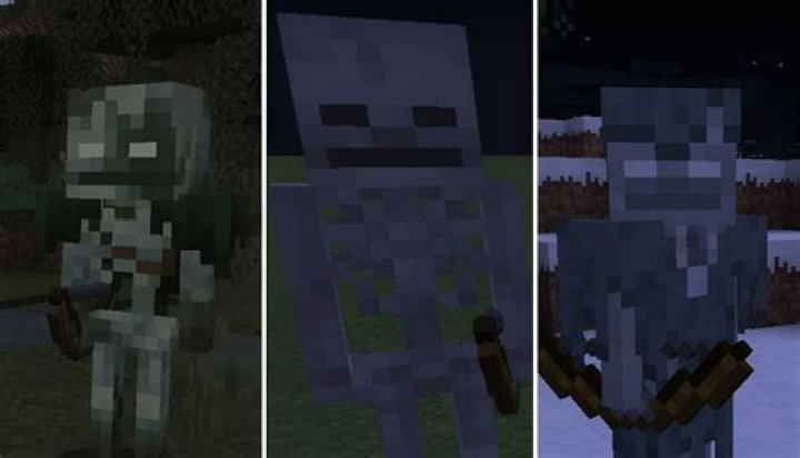 What is Minecraft Stray?