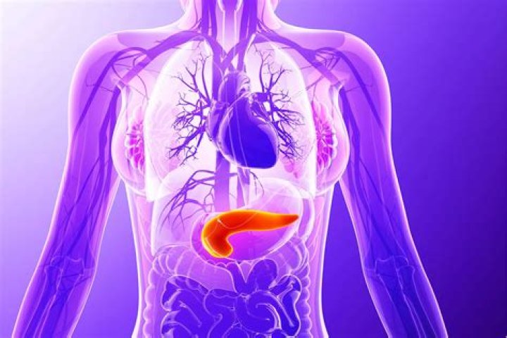 What is pancreas obscured by bowel gas?