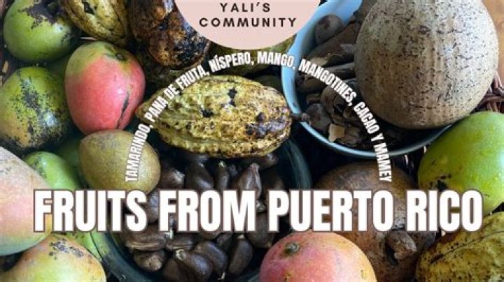 What is Puerto Rico’s national fruit?