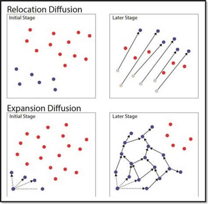 What is relocation diffusion?