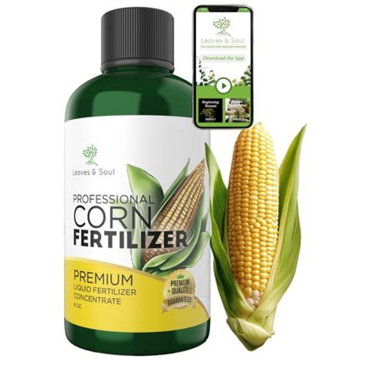 What is the best fertilizer for food plots?