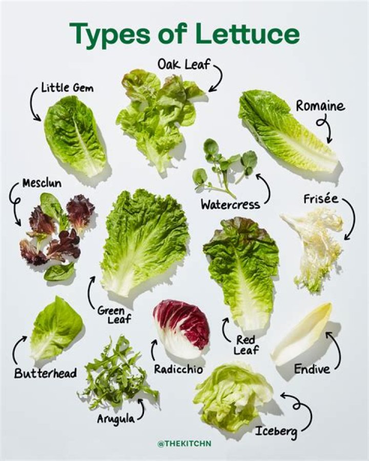 What kind of lettuce is spicy?