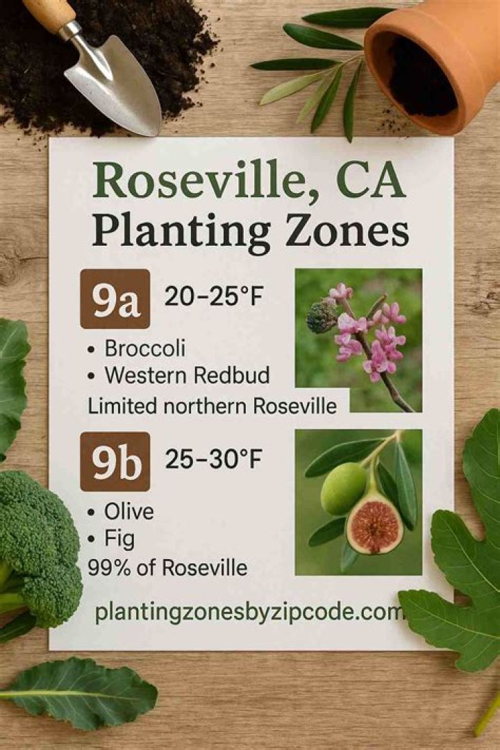 What planting zone is Roseville CA?