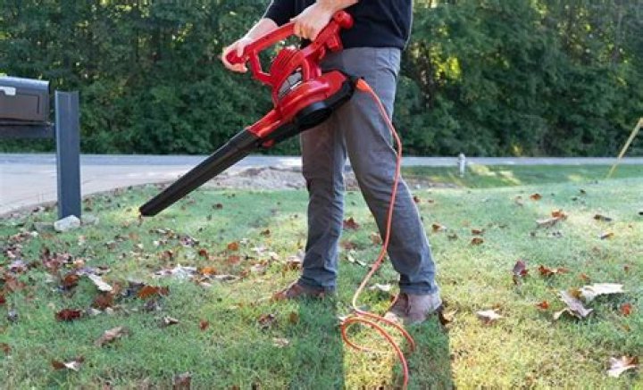 What type of extension cord is needed for leaf blower?