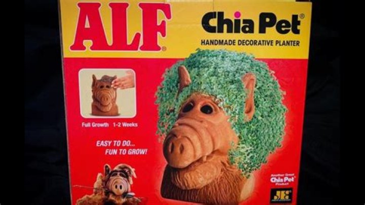 What was the very first Chia Pet?