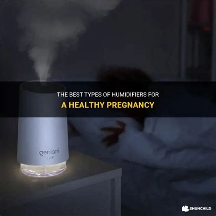 Which humidifier is best for pregnancy?