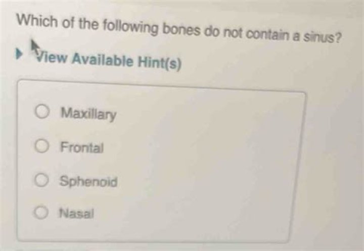 Which of the following bones do not contain a sinus?